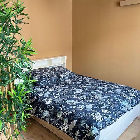 罗阿纳L'Ile De Bali, Sejour En Couple Ou Famille公寓 外观 照片